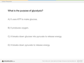 Free to share, print, make copies and changes. Get yours at www.boundless.com
Cellular Respiration
What is the purpose of glycolysis?
A) It uses ATP to make glucose.
B) It produces oxygen.
C) It breaks down glucose into pyruvate to release energy.
D) It breaks down pyruvate to release energy.
 