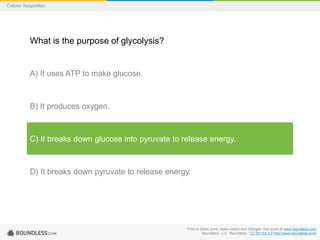Free to share, print, make copies and changes. Get yours at www.boundless.com
Boundless - LO. "Boundless." CC BY-SA 3.0 http://www.boundless.com/
Cellular Respiration
What is the purpose of glycolysis?
A) It uses ATP to make glucose.
B) It produces oxygen.
C) It breaks down glucose into pyruvate to release energy.
D) It breaks down pyruvate to release energy.
 