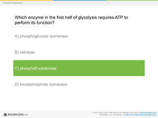 Free to share, print, make copies and changes. Get yours at www.boundless.com
Boundless - LO. "Boundless." CC BY-SA 3.0 http://www.boundless.com/
Cellular Respiration
Which enzyme in the first half of glycolysis requires ATP to
perform its function?
A) phosphoglucose isomerase
B) aldolase
C) phosphofructokinase
D) triosephosphate isomerase
 