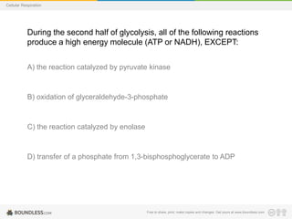 Free to share, print, make copies and changes. Get yours at www.boundless.com
Cellular Respiration
During the second half of glycolysis, all of the following reactions
produce a high energy molecule (ATP or NADH), EXCEPT:
A) the reaction catalyzed by pyruvate kinase
B) oxidation of glyceraldehyde-3-phosphate
C) the reaction catalyzed by enolase
D) transfer of a phosphate from 1,3-bisphosphoglycerate to ADP
 
