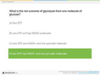 Free to share, print, make copies and changes. Get yours at www.boundless.com
Boundless - LO. "Boundless." CC BY-SA 3.0 http://www.boundless.com/
Cellular Respiration
What is the net outcome of glycolysis from one molecule of
glucose?
A) four ATP
B) one ATP and two NADH molecules
C) one ATP, one NADH, and one pyruvate molecule
D) two ATP, two NADH, and two pyruvate molecules
 