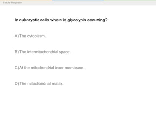 Cellular Respiration
In eukaryotic cells where is glycolysis occurring?
A) The cytoplasm.
B) The intermitochondrial space.
C) At the mitochondrial inner membrane.
D) The mitochondrial matrix.
 