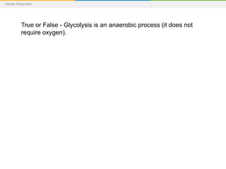 Cellular Respiration
True or False - Glycolysis is an anaerobic process (it does not
require oxygen).
 