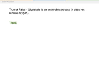 Cellular Respiration
True or False - Glycolysis is an anaerobic process (it does not
require oxygen).
TRUE
 