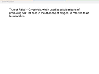 Cellular Respiration
True or False – Glycolysis, when used as a sole means of
producing ATP for cells in the absence of oxygen, is referred to as
fermentation.
 