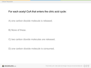 Free to share, print, make copies and changes. Get yours at www.boundless.com
Cellular Respiration
For each acetyl CoA that enters the citric acid cycle:
A) one carbon dioxide molecule is released.
B) None of these.
C) two carbon dioxide molecules are released.
D) one carbon dioxide molecule is consumed.
 