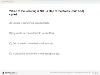 Free to share, print, make copies and changes. Get yours at www.boundless.com
Cellular Respiration
Which of the following is NOT a step of the Krebs (citric acid)
cycle?
A) Citrate is converted into isocitrate.
B) Pyruvate is converted into acetyl CoA.
C) Succinate is converted into fumarate.
D) Isocitrate is converted into α-ketoglutarate.
 