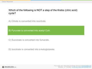 Free to share, print, make copies and changes. Get yours at www.boundless.com
Boundless - LO. "Boundless." CC BY-SA 3.0 http://www.boundless.com/
Cellular Respiration
Which of the following is NOT a step of the Krebs (citric acid)
cycle?
A) Citrate is converted into isocitrate.
B) Pyruvate is converted into acetyl CoA.
C) Succinate is converted into fumarate.
D) Isocitrate is converted into α-ketoglutarate.
 