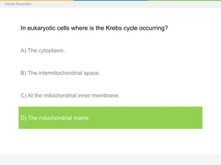 Cellular Respiration
In eukaryotic cells where is the Krebs cycle occurring?
A) The cytoplasm.
B) The intermitochondrial space.
C) At the mitochondrial inner membrane.
D) The mitochondrial matrix.
 