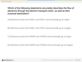 Free to share, print, make copies and changes. Get yours at www.boundless.com
Cellular Respiration
Which of the following statements accurately describes the flow of
electrons through the electron transport chain, as well as their
eventual destination?
A) Electrons come from NAD+ and FAD+ and eventually go to water.
B) Electrons come from NAD+ and FAD+ and eventually go to oxygen.
C) Electrons come from NADH and FADH2 and eventually go to water.
D) Electrons come from NADH and FADH2 and eventually go to oxygen.
 