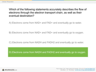 Free to share, print, make copies and changes. Get yours at www.boundless.com
Boundless - LO. "Boundless." CC BY-SA 3.0 http://www.boundless.com/
Cellular Respiration
Which of the following statements accurately describes the flow of
electrons through the electron transport chain, as well as their
eventual destination?
A) Electrons come from NAD+ and FAD+ and eventually go to water.
B) Electrons come from NAD+ and FAD+ and eventually go to oxygen.
C) Electrons come from NADH and FADH2 and eventually go to water.
D) Electrons come from NADH and FADH2 and eventually go to oxygen.
 