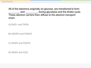 Cellular Respiration
All of the electrons originally on glucose, are transferred to form
________ and _________ during glycolysis and the Krebs cycle.
These electron carriers then diffuse to the electron transport
chain.
A) NAD+ and FADH
B) NADPH and FADH2
C) NADH and FADH2
D) NADH and CO2.
 