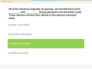 Cellular Respiration
All of the electrons originally on glucose, are transferred to form
________ and _________ during glycolysis and the Krebs cycle.
These electron carriers then diffuse to the electron transport
chain.
A) NAD+ and FADH
B) NADPH and FADH2
C) NADH and FADH2
D) NADH and CO2.
 