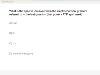 Cellular Respiration
What is the specific ion involved in the electrochemical gradient
referred to in the last question (that powers ATP synthase?)
A) Na+
B) K+.
C) H+
D) None of the above
 