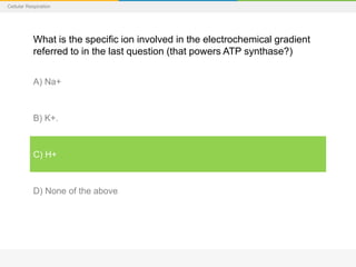 Cellular Respiration
What is the specific ion involved in the electrochemical gradient
referred to in the last question (that powers ATP synthase?)
A) Na+
B) K+.
C) H+
D) None of the above
 