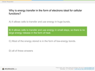 Free to share, print, make copies and changes. Get yours at www.boundless.com
Boundless - LO. "Boundless." CC BY-SA 3.0 http://www.boundless.com/
Cellular Respiration
Why is energy transfer in the form of electrons ideal for cellular
functions?
A) It allows cells to transfer and use energy in huge bursts.
B) It allows cells to transfer and use energy in small steps, so there is no
large energy release in the form of heat.
C) Most of the energy stored is in the form of low-energy bonds.
D) all of these answers
 
