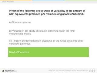 Free to share, print, make copies and changes. Get yours at www.boundless.com
Cellular Respiration
Which of the following are sources of variability in the amount of
ATP equivalents produced per molecule of glucose consumed?
A) Species variance.
B) Variance in the ability of electron carriers to reach the inner
mitochondrial matrix.
C) Titration of intermediates in glycolysis or the Krebs cycle into other
metabolic pathways.
D) All of the above.
 