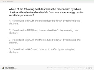 Free to share, print, make copies and changes. Get yours at www.boundless.com
Cellular Respiration
Which of the following best describes the mechanism by which
nicotinamide adenine dinucleotide functions as an energy carrier
in cellular processes?
A) It's oxidized to NADH and then reduced to NAD+ by removing two
electrons.
B) It's reduced to NADH and then oxidized NAD+ by removing one
electron.
C) It's oxidized to NADH and then reduced to NAD+ by removing one
electron.
D) It's oxidized to NAD+ and reduced to NADH by removing two
electrons.
 