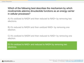 Free to share, print, make copies and changes. Get yours at www.boundless.com
Boundless - LO. "Boundless." CC BY-SA 3.0 http://www.boundless.com/
Cellular Respiration
Which of the following best describes the mechanism by which
nicotinamide adenine dinucleotide functions as an energy carrier
in cellular processes?
A) It's oxidized to NADH and then reduced to NAD+ by removing two
electrons.
B) It's reduced to NADH and then oxidized NAD+ by removing one
electron.
C) It's oxidized to NADH and then reduced to NAD+ by removing one
electron.
D) It's oxidized to NAD+ and reduced to NADH by removing two
electrons.
 