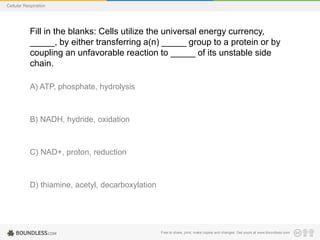 Free to share, print, make copies and changes. Get yours at www.boundless.com
Cellular Respiration
Fill in the blanks: Cells utilize the universal energy currency,
_____, by either transferring a(n) _____ group to a protein or by
coupling an unfavorable reaction to _____ of its unstable side
chain.
A) ATP, phosphate, hydrolysis
B) NADH, hydride, oxidation
C) NAD+, proton, reduction
D) thiamine, acetyl, decarboxylation
 