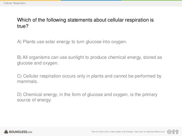 Which Of The Following Statements About Energy Metabolism Is False 38+ Pages Answer [500kb] - Latest Update 