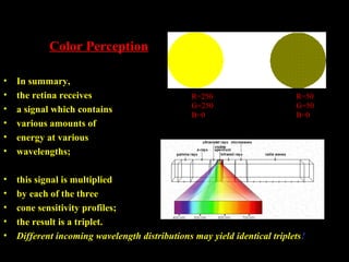 Colour vision ,,ppt by dr mazhar | PPT