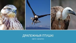 ДРАПЕЖНЫЯ ПТУШКІ
СВЕТУ І БЕЛАРУСІ
 