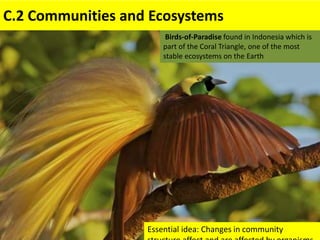 Essential idea: Changes in community structure affect
and are affected by organisms.
C.2 Communities and Ecosystems
Essential idea: Changes in community
Birds-of-Paradise found in Indonesia which is
part of the Coral Triangle, one of the most
stable ecosystems on the Earth
 