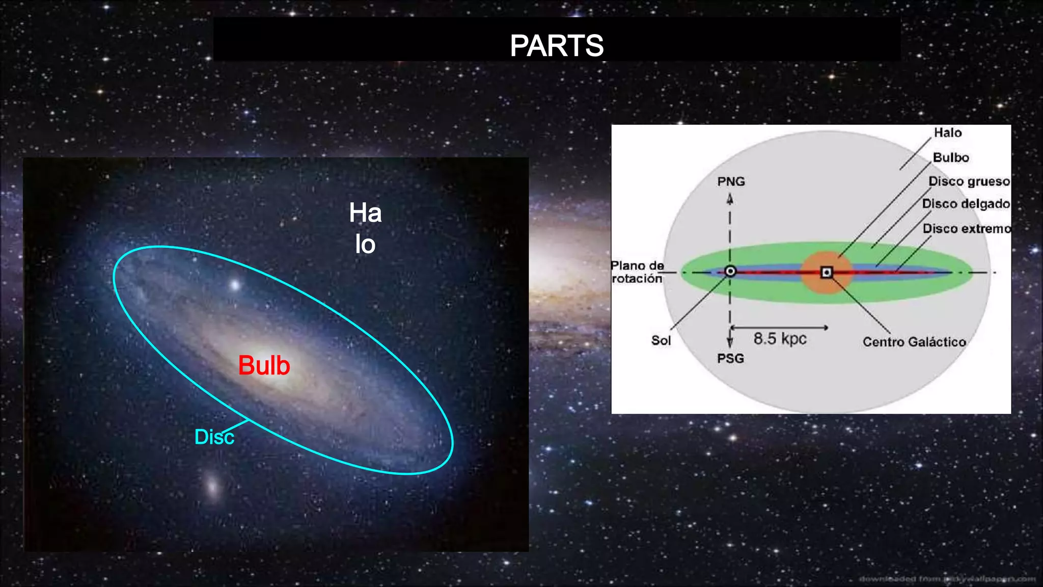 PARTS
Ha
lo
Bulb
Disc