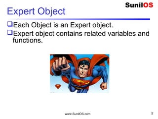 Expert Object
Each Object is an Expert object.
Expert object contains related variables and
functions.
www.SunilOS.com 5
 