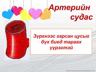 Артерийн
судас
Зүрхнээс гарсан цусыг
бүх биед тараах
үүрэгтэй
 