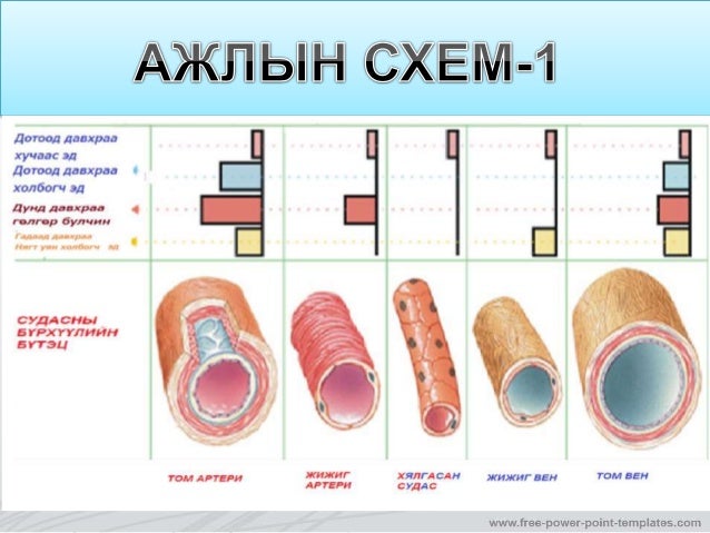 Cудасны бүтэц ангилал