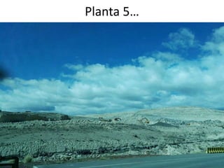 Planta 5…
 