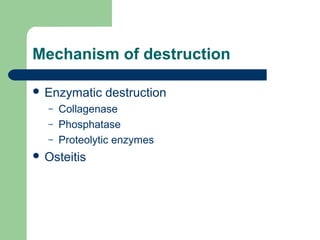 Mechanism of destruction
 Enzymatic destruction
– Collagenase
– Phosphatase
– Proteolytic enzymes
 Osteitis
 