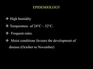 EPIDEMIOLOGY
 High humidity
 Temperature of 24°C – 32°C.
 Frequent rains.
 Moist conditions favours the development of
disease (October to November)
 