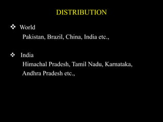 DISTRIBUTION
 World
Pakistan, Brazil, China, India etc.,
 India
Himachal Pradesh, Tamil Nadu, Karnataka,
Andhra Pradesh etc.,
 