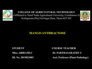 MANGO ANTHRACNOSE
COLLEGE OF AGRICULTURAL TECHNOLOGY
(Affiliated to Tamil Nadu Agricultural University, Coimbatore-3)
Kullapuram (Po),ViaVaigai Dam, Theni-625 562
STUDENT
Miss. ABIRAMI.C
ID. No. 2015021003
COURSE TEACHER
Dr. PARTHASARATHY S
Asst. Professor (Plant Pathology)
 