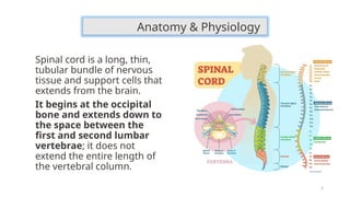 C-1 CNS AND Myelography. by Ravindra Kumar.pptx