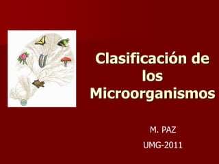 c-2-clasificacic3b3n-de-los-microorganismos.ppt