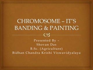 Presented By –
Shovan Das
B.Sc. (Agriculture)
Bidhan Chandra Krishi Viswavidyalaya
 