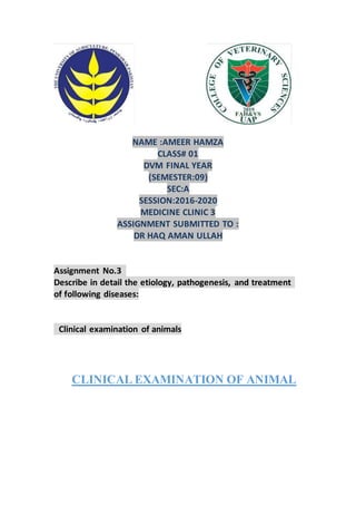 NAME :AMEER HAMZA
CLASS# 01
DVM FINAL YEAR
(SEMESTER:09)
SEC:A
SESSION:2016-2020
MEDICINE CLINIC 3
ASSIGNMENT SUBMITTED TO :
DR HAQ AMAN ULLAH
Assignment No.3
Describe in detail the etiology, pathogenesis, and treatment
of following diseases:
Clinical examination of animals
CLINICAL EXAMINATION OF ANIMAL
 