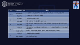 ĐỘ LOẠI THƯƠNG TỔN MÔ TẢ
I
ĐỤNG DẬP CHỦ MÔ THẬN BỊ DẬP NHƯNG CHƯA VỠ, THẬN CÒN NGUYÊN VẸN
TỤ MÁU TỤ MÁU DƯỚI VỞ BAO THẬN
II
TỤ MÁU TỤ MÁU QUANH THẬN
VỠ THẬN VỠ CHỦ MÔ VÙNG VỎ THẬN < 1CM
III VỠ THẬN
VỠ CHỦ MÔ CÙNG VỎ THẬN > 1CM, KHÔNG THÔNG VỚI HỆ THỐNG ĐÀI
BỂ THẬN
IV
VỠ THẬN
VỠ NHU MÔ LAN RỘNG TỪ VỎ THẬN, TỦY THẬN, VÀO ĐẾN HỆ THỐNG ĐÀI
BỂ THẬN
MẠCH MÁU HUYẾT KHỐI ĐỘNG MẠCH HOẶC TĨNH MẠCH THẬN CHÍNH
V
VỠ THẬN THẬN VỠ NHIỀU MẢNH
MẠCH MÁU ĐỨT CUỐNG THẬN
 