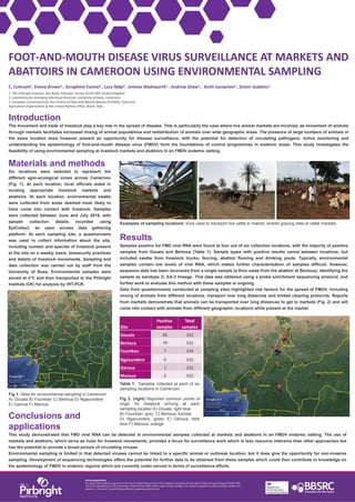 FOOT-AND-MOUTH DISEASE VIRUS SURVEILLANCE AT MARKETS AND ABATTOIRS IN ...