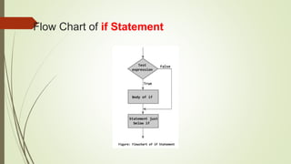 Flow Chart of if Statement
 