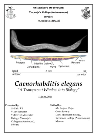 Caenorhabditis elegans
“A Transparent Window into Biology”
Guided by,
Ms. Sanjana Shajan
Guest Faculty
Dept. Molecular Biology,
Yuvaraja's College (Autonomous),
Mysuru
Presented by,
SHRYLI K S
VIIIth Semester
YMB17118 Molecular
Biology, Yuvaraja's
College (Autonomous),
Mysuru
11 June, 2021
 