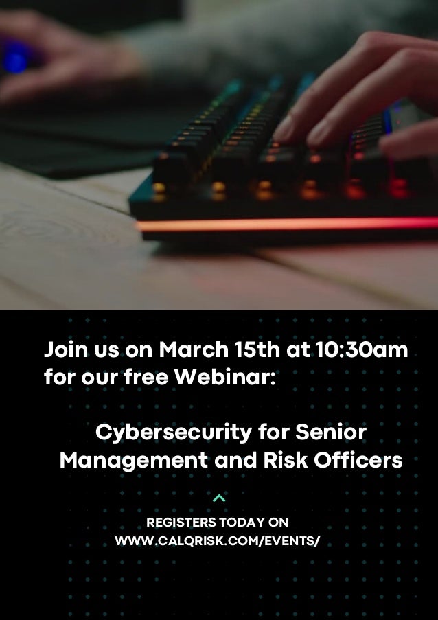 Cybersecurity for Senior Management and Risk Officers | PDF