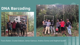 DNA Barcoding
Travis Butler, Crystal Dobson, James Gainous, Andres Gomez and Xegfred Quidet
 