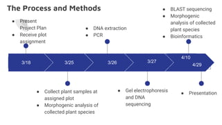 biocoding tutorial milestone projects project 1 - gc... C. DNA Barcoding Finale.pptx