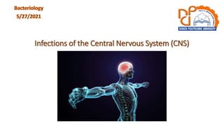 Infections of the Central Nervous System (CNS)
 