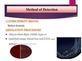 Method of Detection
Bolton formula
 Abeyta-Hunt-Bark (AHB) Agar or
 modified campy blood-free (mCCDA) agars
 